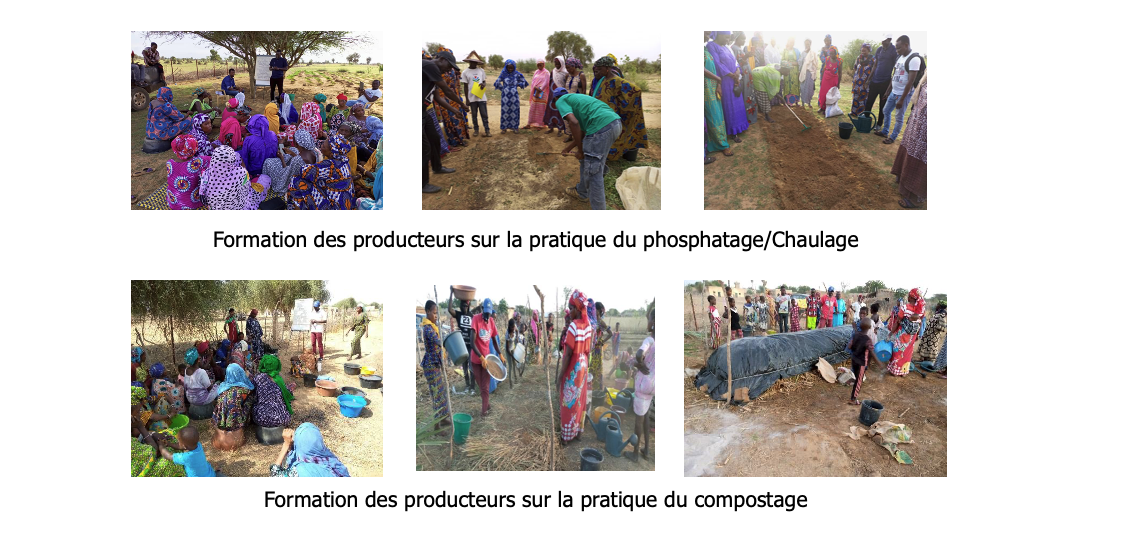 Formation des producteurs : pratique du phosphatage/chaulage et pratique du compostage