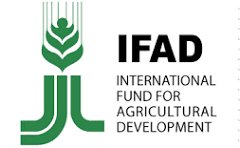 Logo FIDA / IFAD